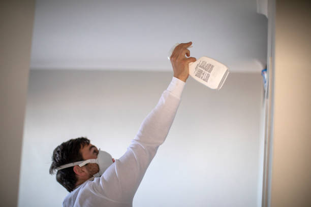 Attic Mold Removal in Nash, TX