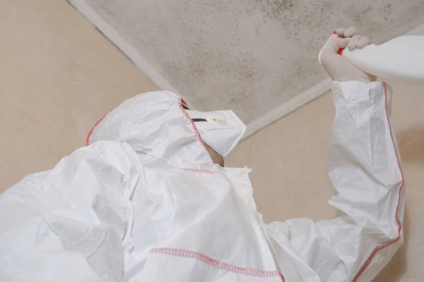 Best Professional Mold Removal  in Nash, TX