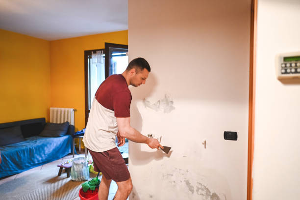 Professional Mold Removal in Nash, TX