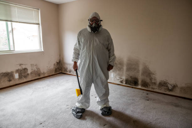 Best Toxic Mold Removal  in Nash, TX